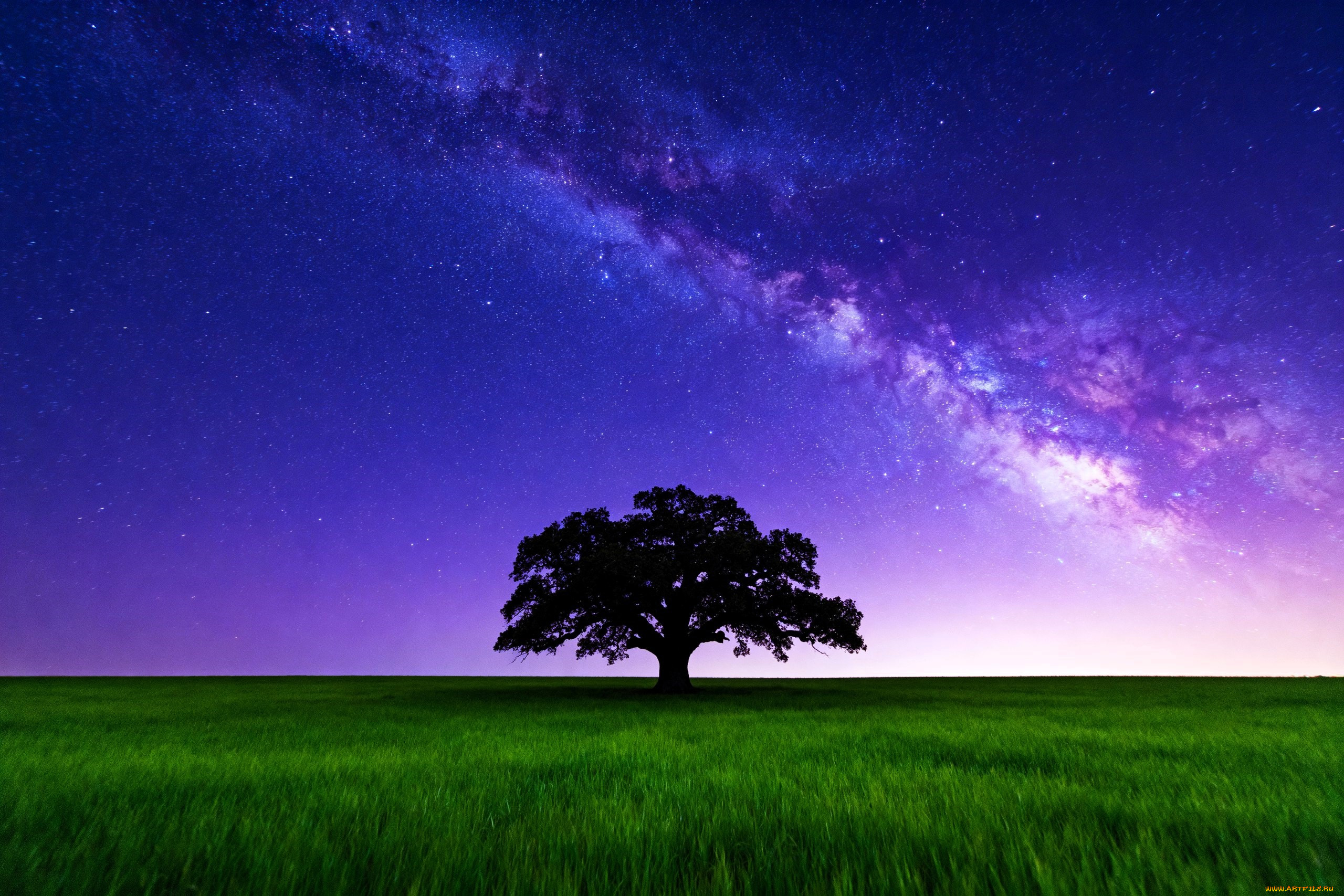 3� �������, ������� , nature, ����, �����, ������, ����, ������, �������, ����